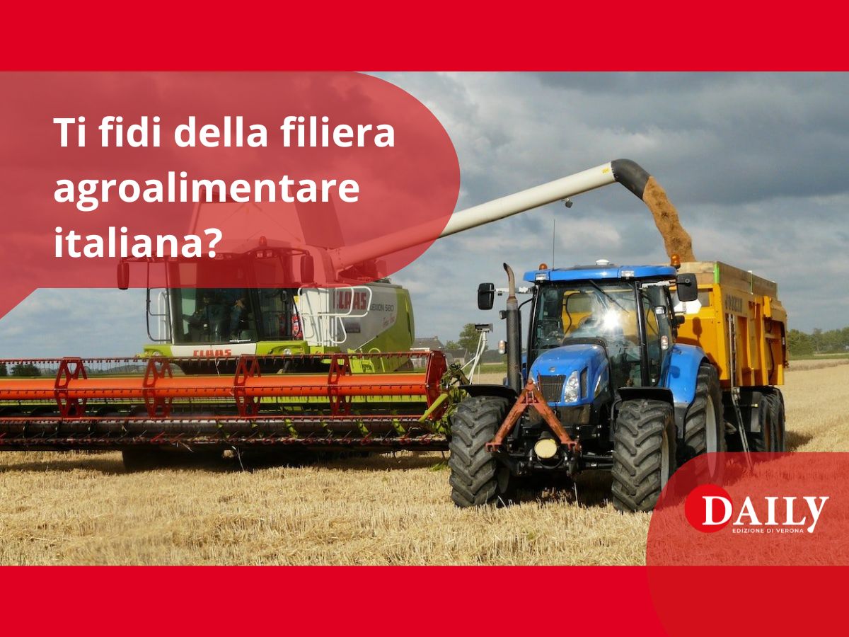 COPERTINA PER SONDAGGIO - sitofb 23.11