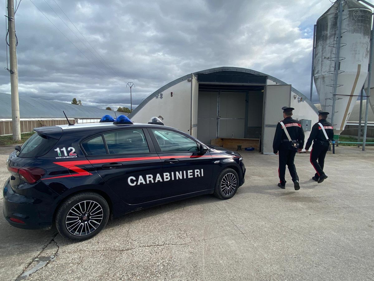 Carabinieri Erbè - estorsione