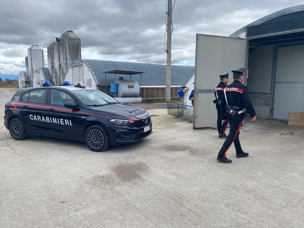 Carabinieri Erbè - estorsione