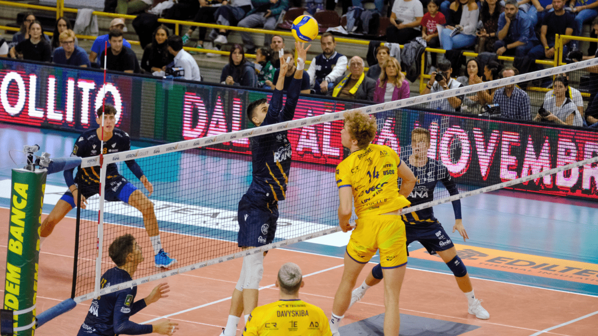 Rana Verona Itas Trentino