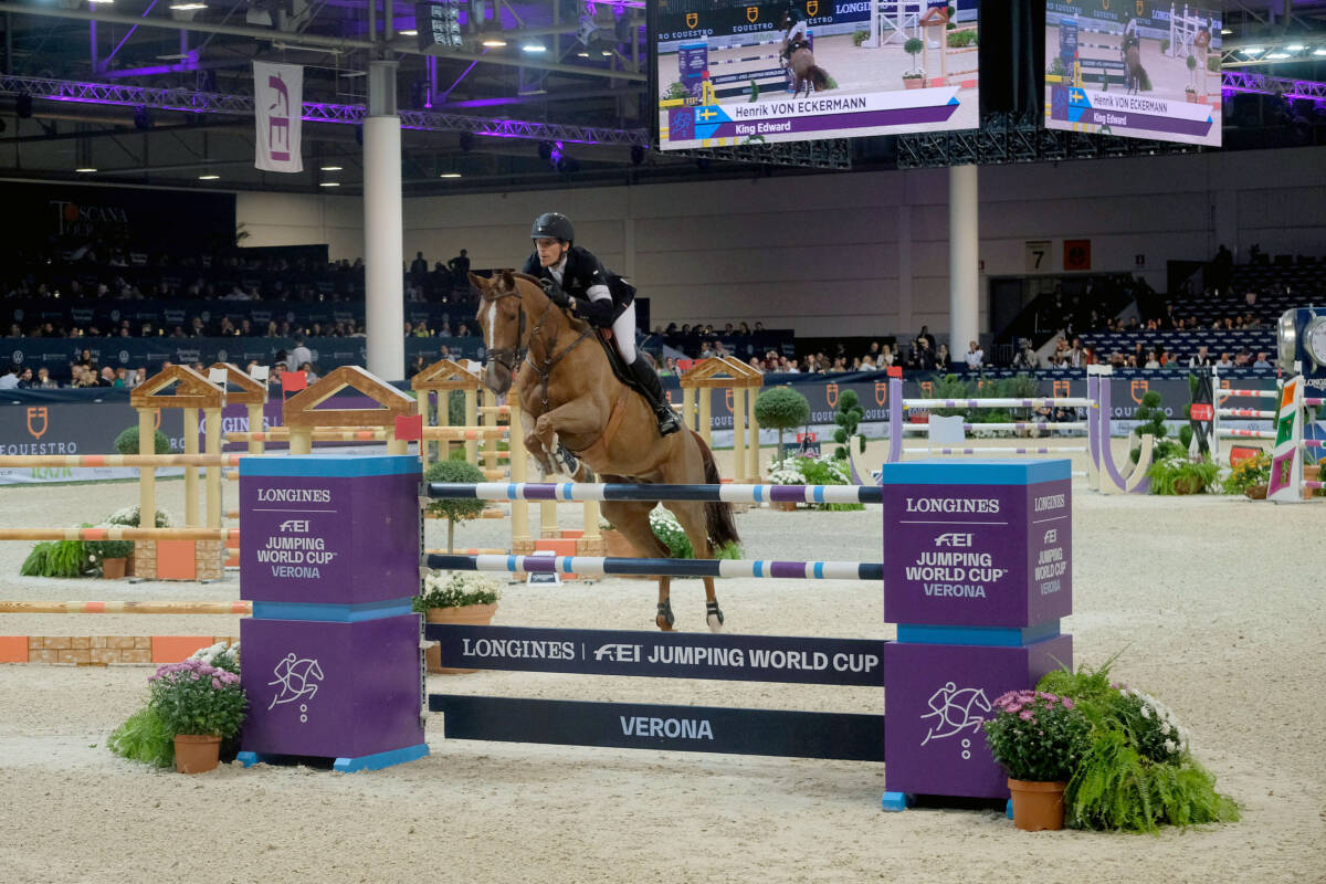 Fieracavalli Veronafiere