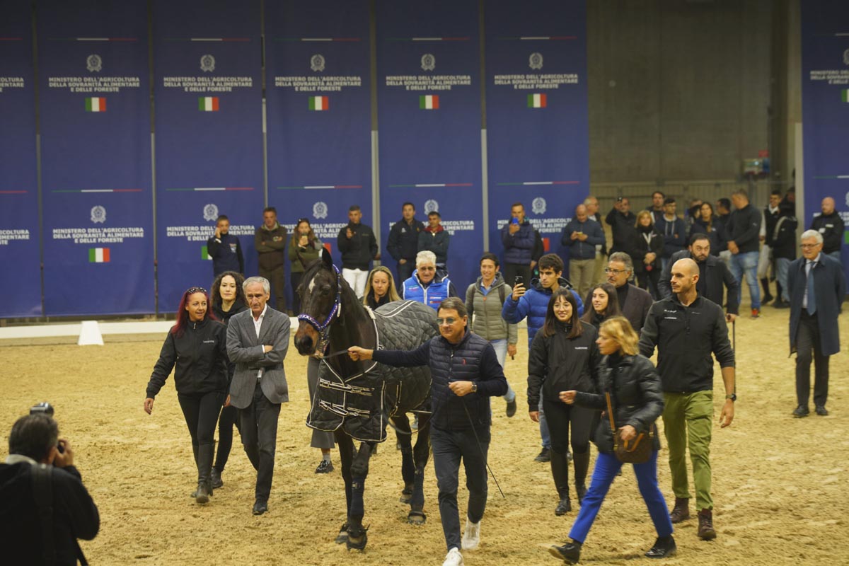 Fieracavalli 2023, premio alla carriera a Varenne