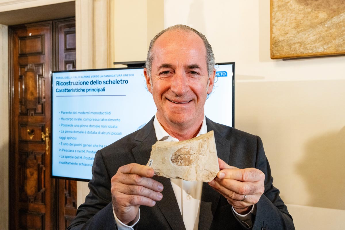 Luca Zaia con fossile Bolca