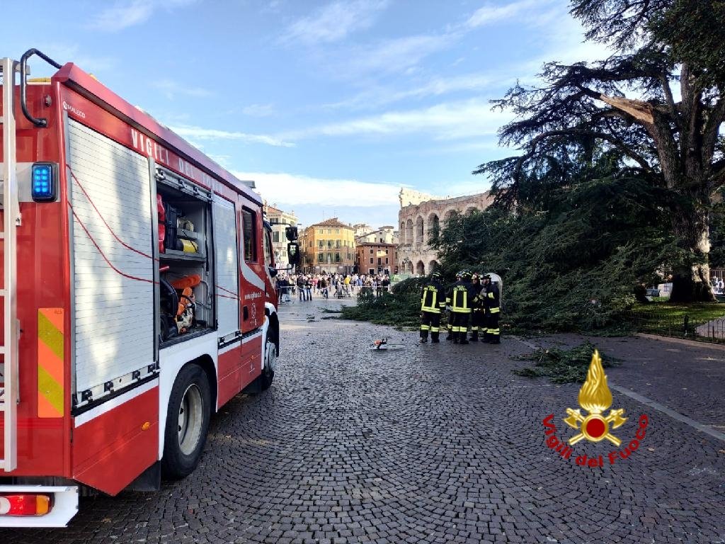 Vigili del Fuoco caduta ramo piazza Bra Verona