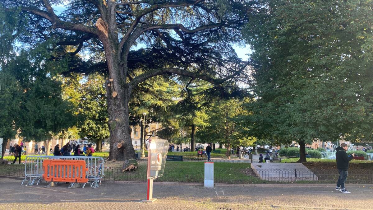 Vigili del Fuoco caduta ramo piazza Bra Verona
