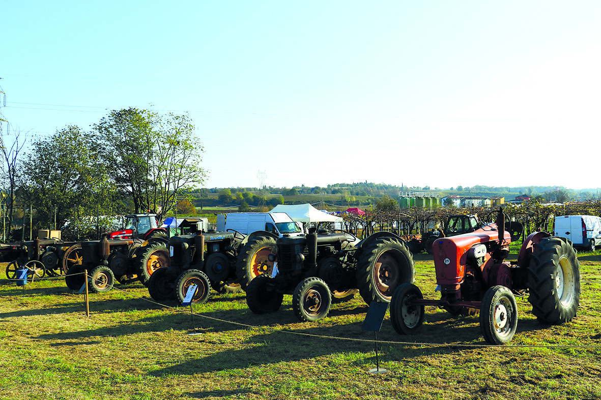 Antica Fiera di Cavalcaselle