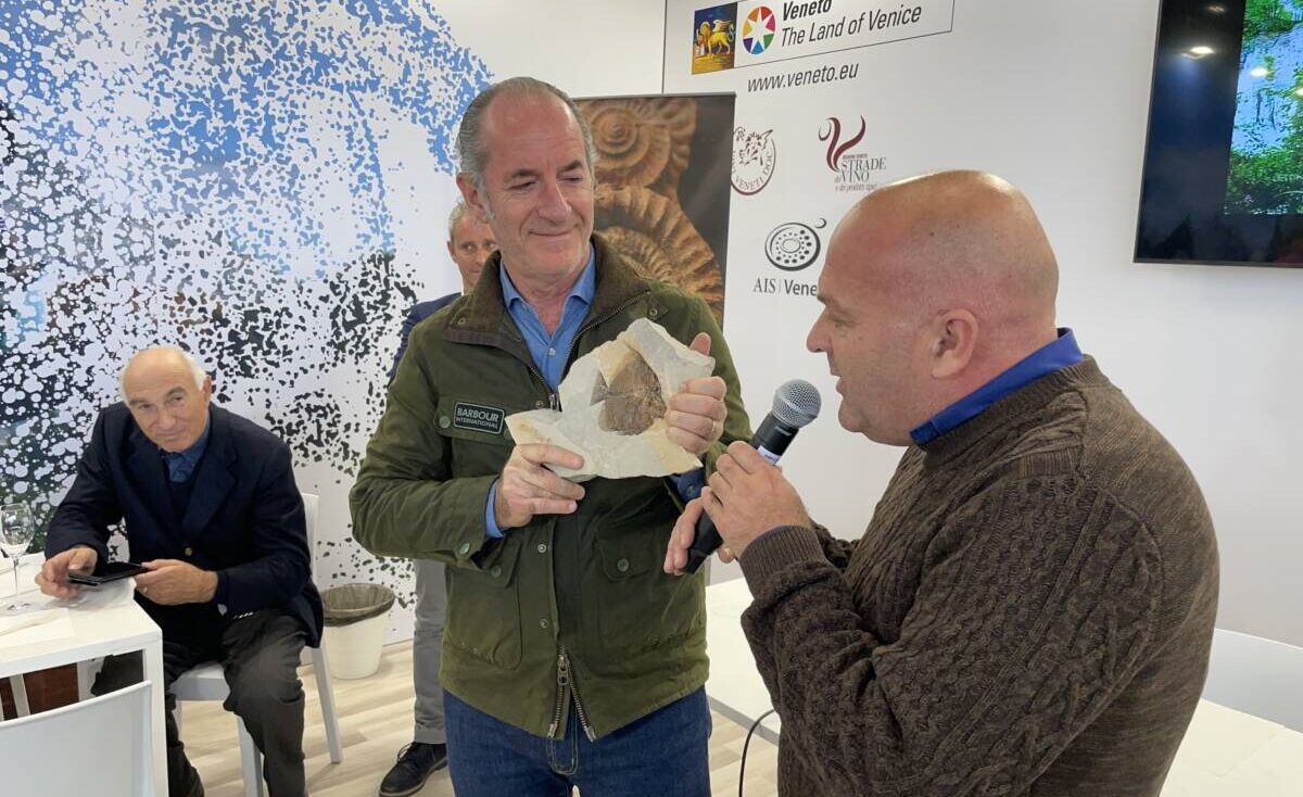 fossili bolca val d'alpone unesco fieracavalli