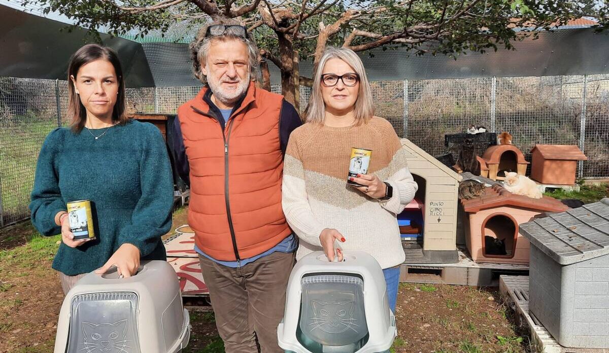 foto donazione al gattile anfi veneto enpa