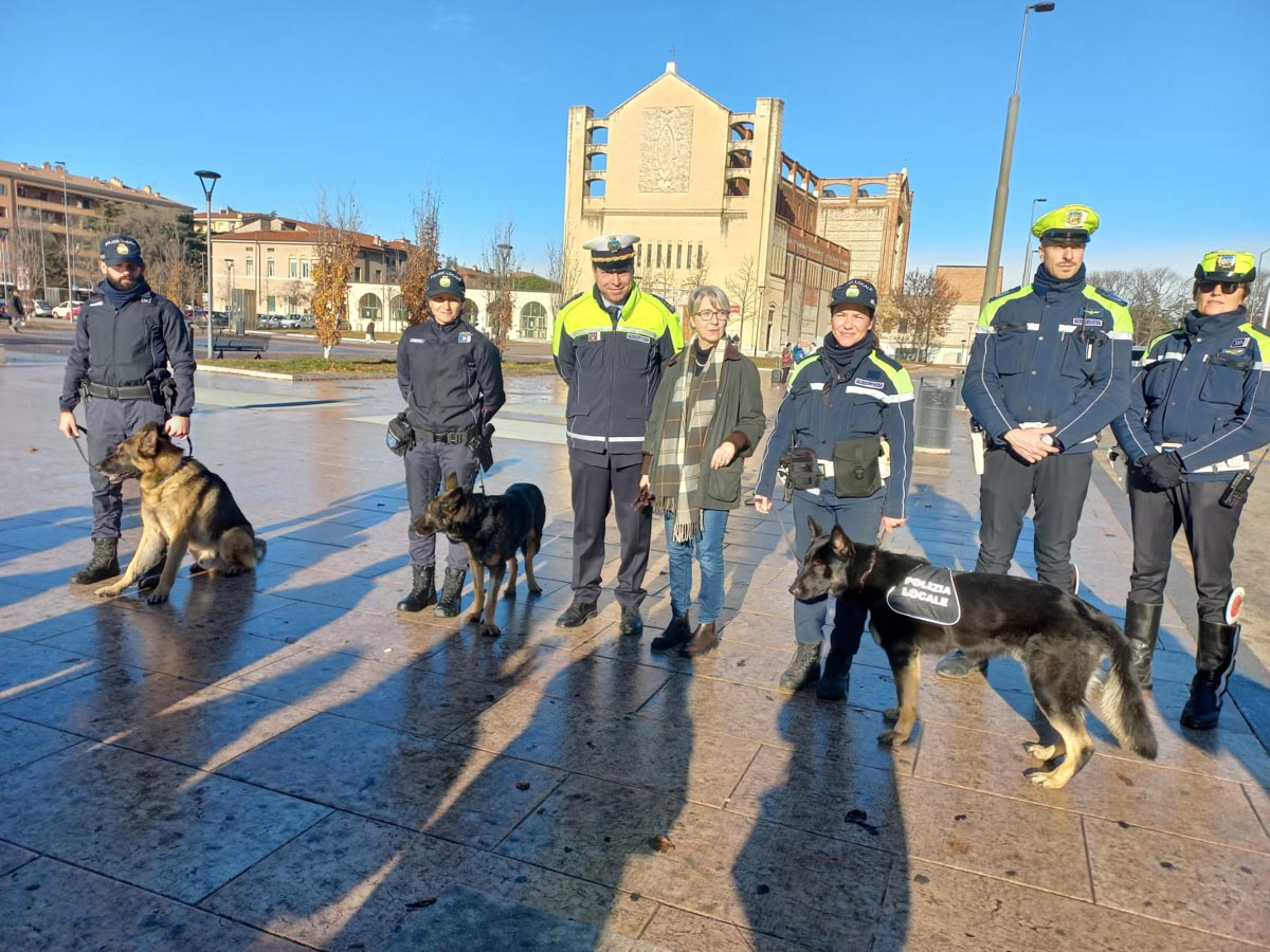 Cani antidroga Verona