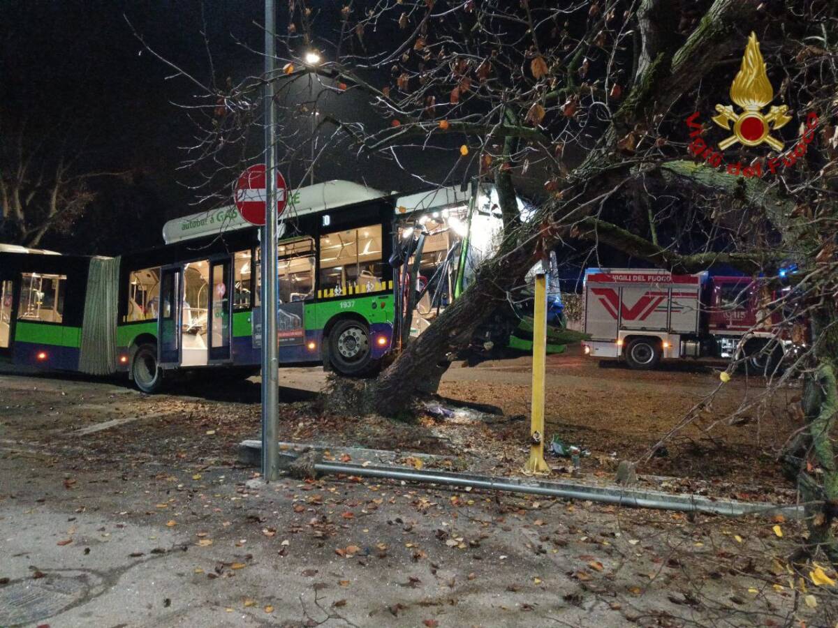 Autobus albero via Basso Acquar