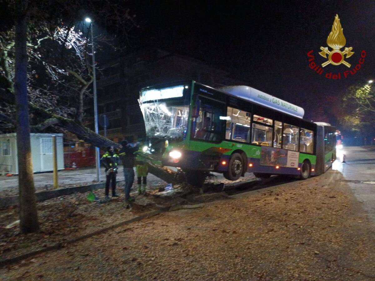 Autobus albero via Basso Acquar