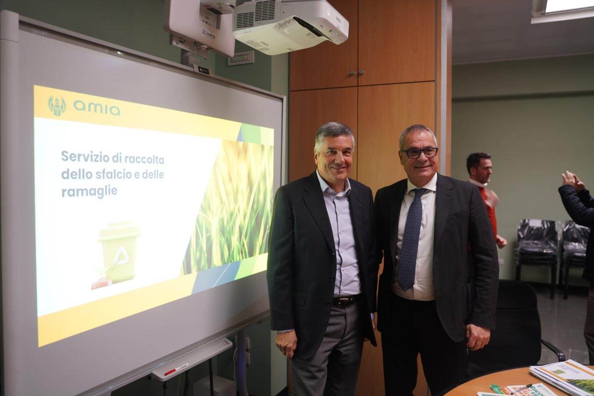 Amia - raccolta verde - Bechis e Cozzolotto