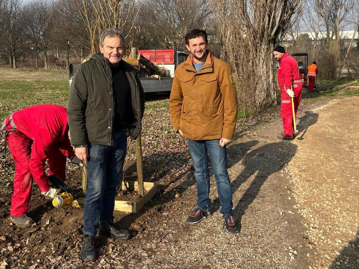 Riforestazione - Comune di Verona - Giarol Grande