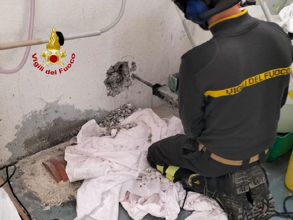 Vigili del fuoco - gatto liberato colognola ai colli