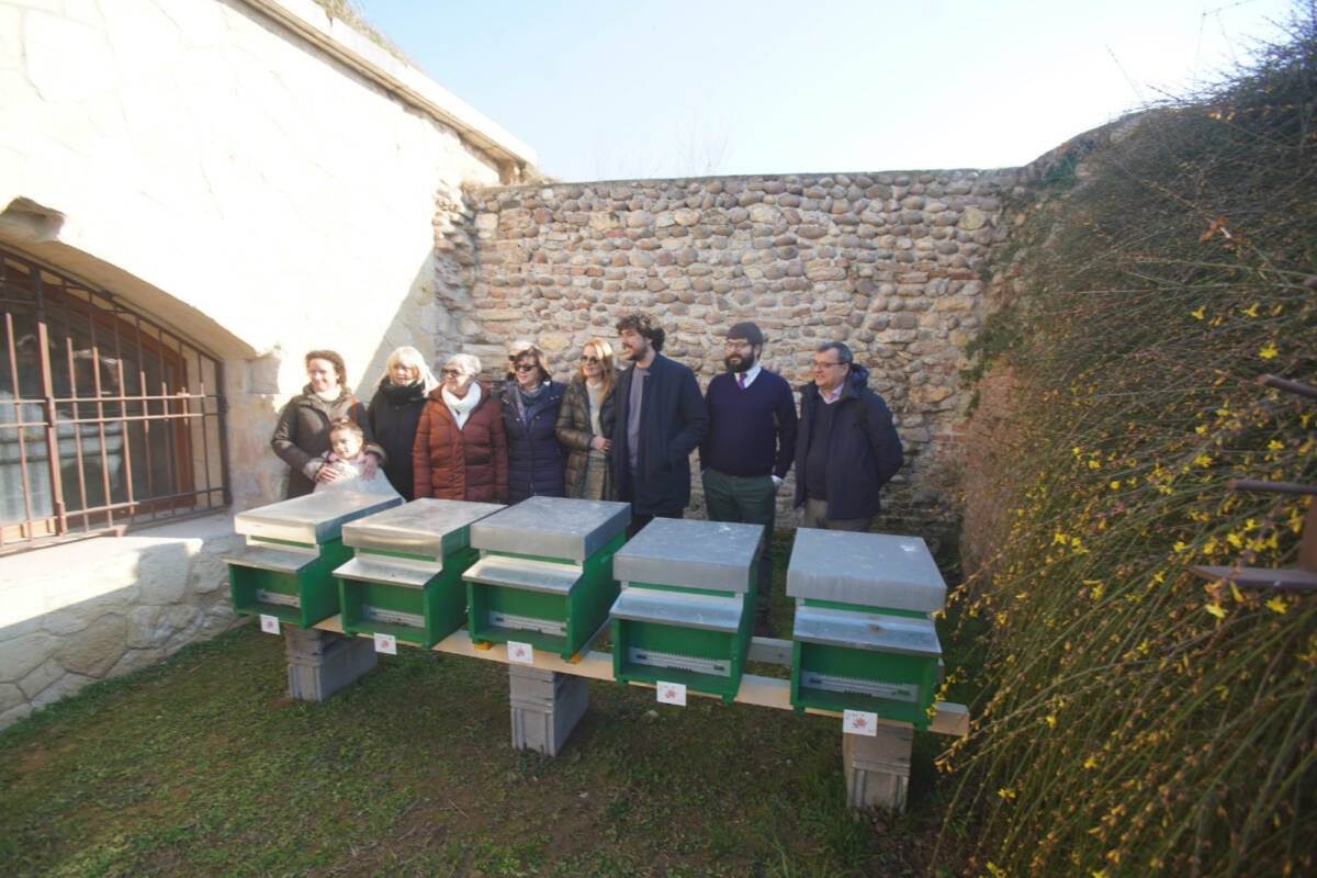 Apicoltura Bastione delle Maddalene Api