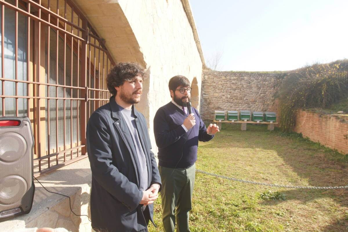 Apicoltura Bastione delle Maddalene Api