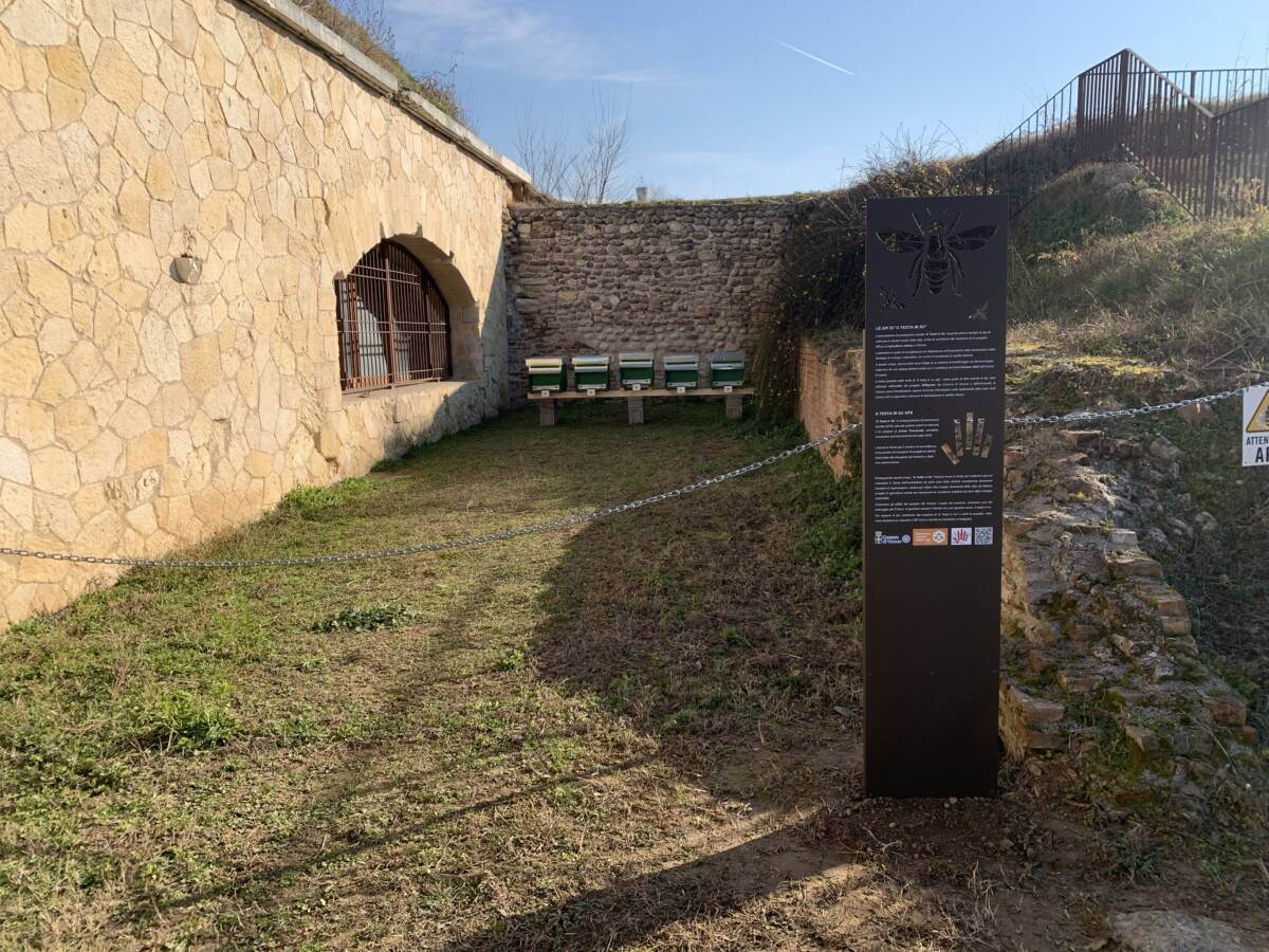 Apicoltura Bastione delle Maddalene Api