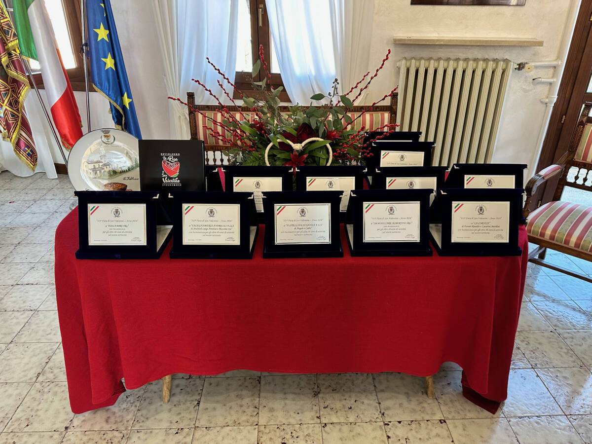 Riconoscimenti aziende storiche di Bussolengo