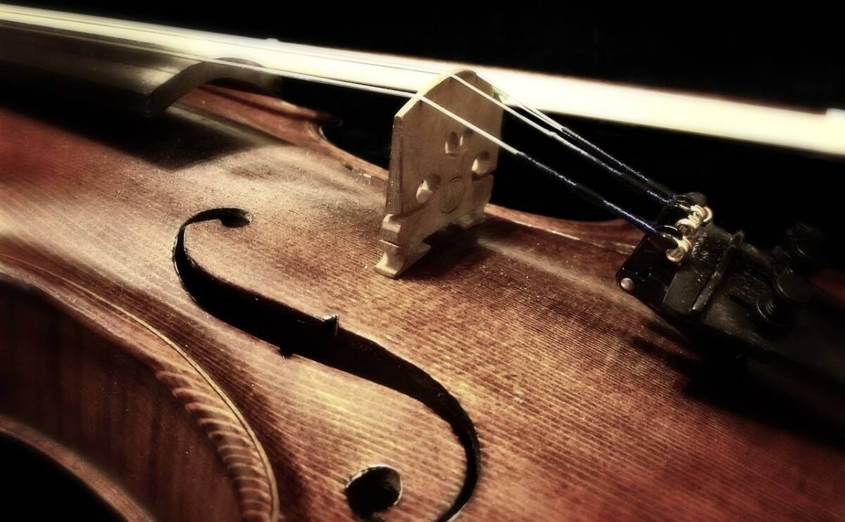 cosa fare violino musica