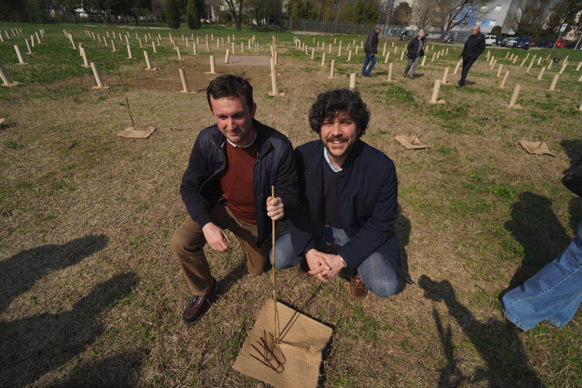 Bosco urbano Verona Borgo Roma