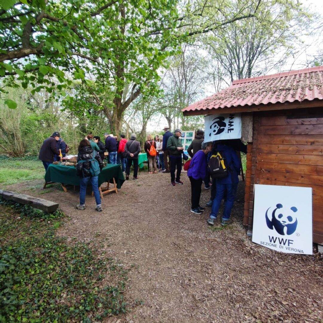 Giornate FAI di Primavera Povegliano Veronese (2)