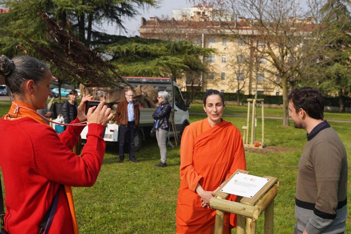 Induisti alberi Verona