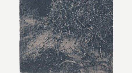 Marco Rapaccini litorali