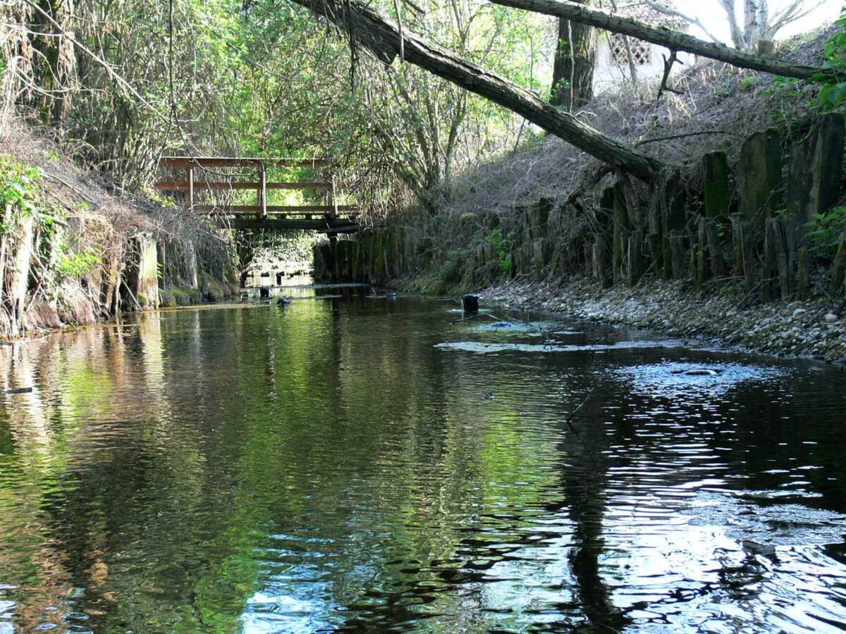 Oasi della Bora Povegliano Veronese