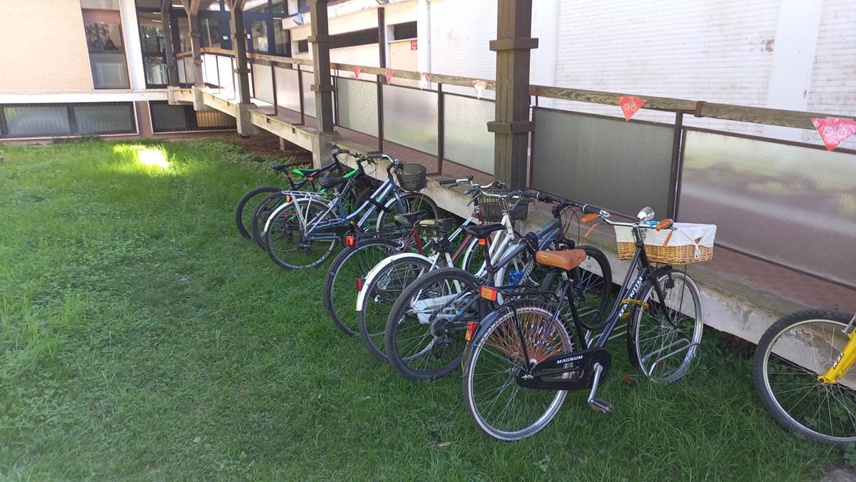 Porta Biciclette scuola Alighieri - bici