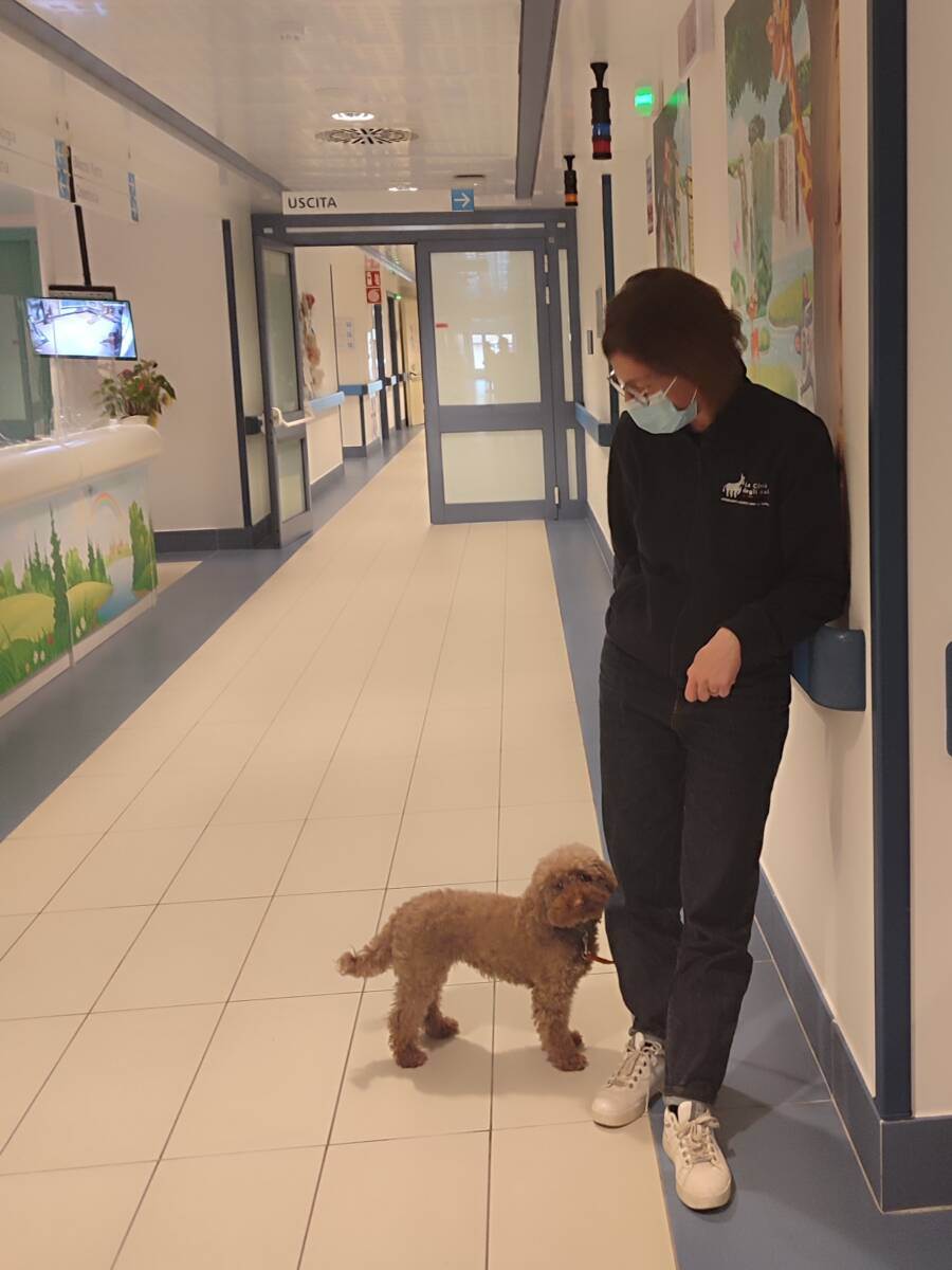 pet_therapy_Ospedale Villafranca_2