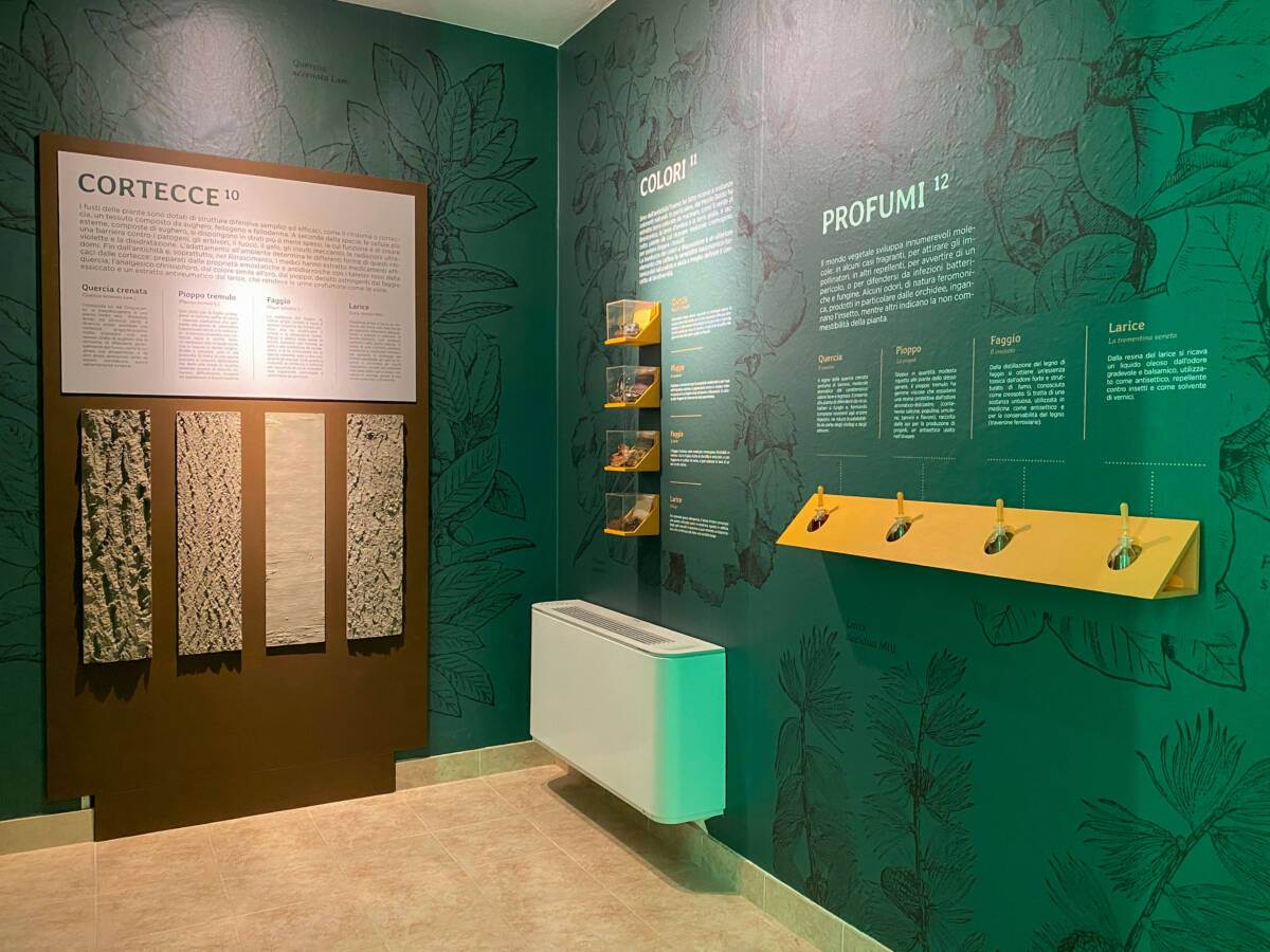 Museo della biodiversità Novezzina (2)