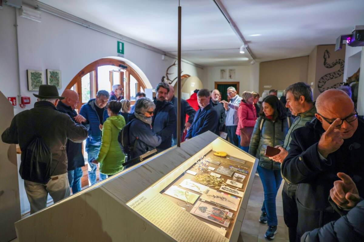 Museo della biodiversità Novezzina (2)