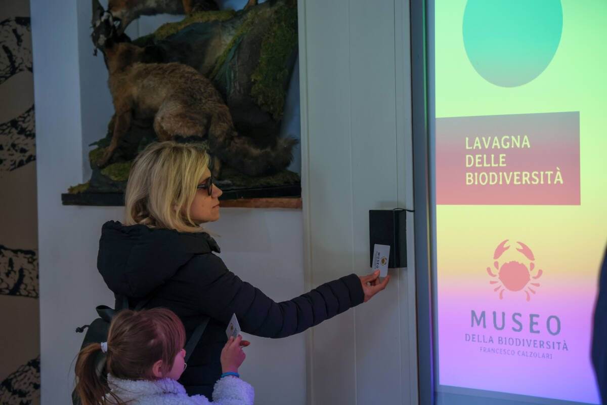 Museo della biodiversità Novezzina (2)