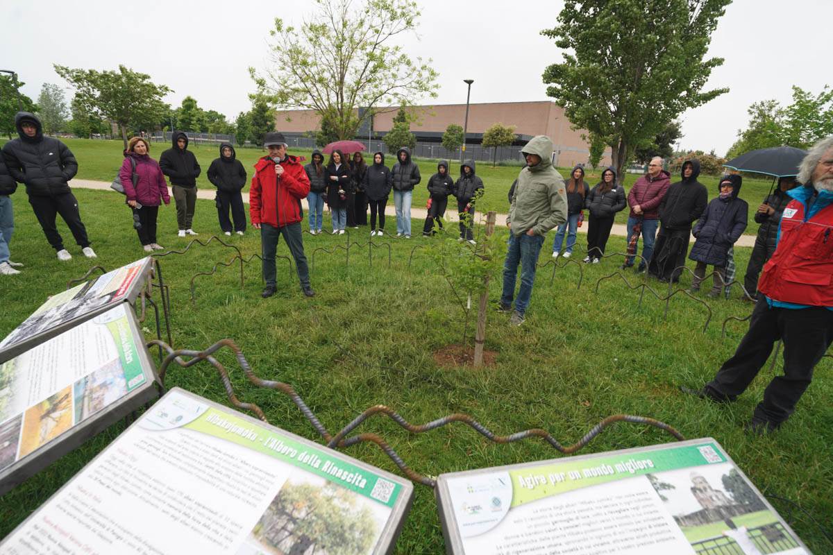 Parco Santa Teresa - semina albero rinascita