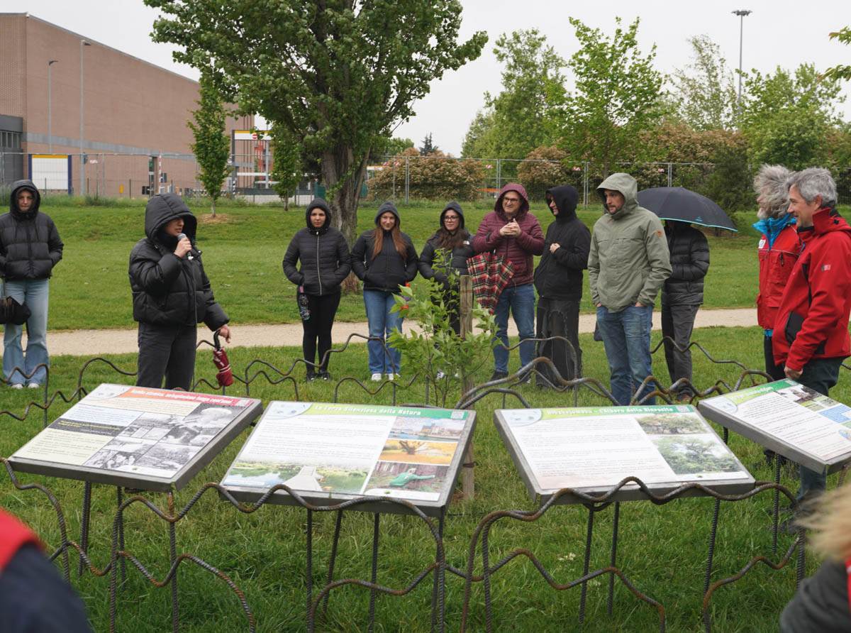 Parco Santa Teresa - semina albero rinascita