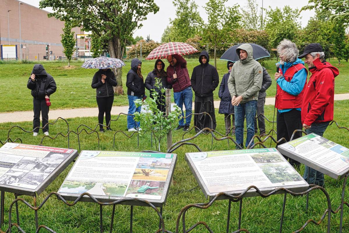 Parco Santa Teresa - semina albero rinascita