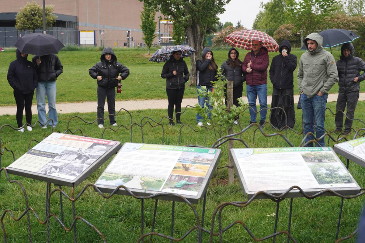 Parco Santa Teresa - semina albero rinascita
