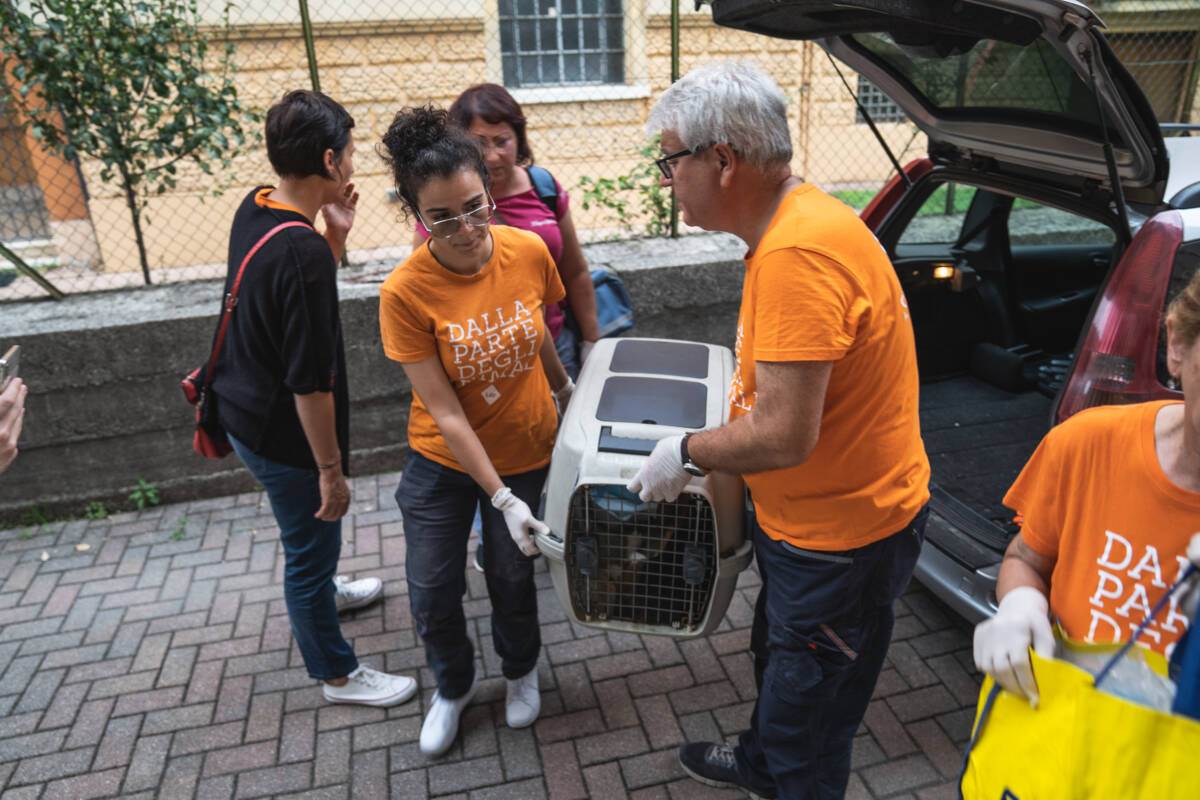 salvataggio lav verona