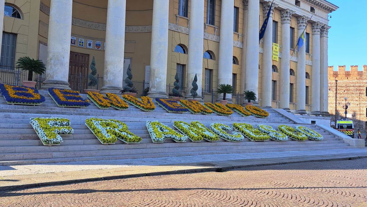 Benvenuto Francesco AMIA