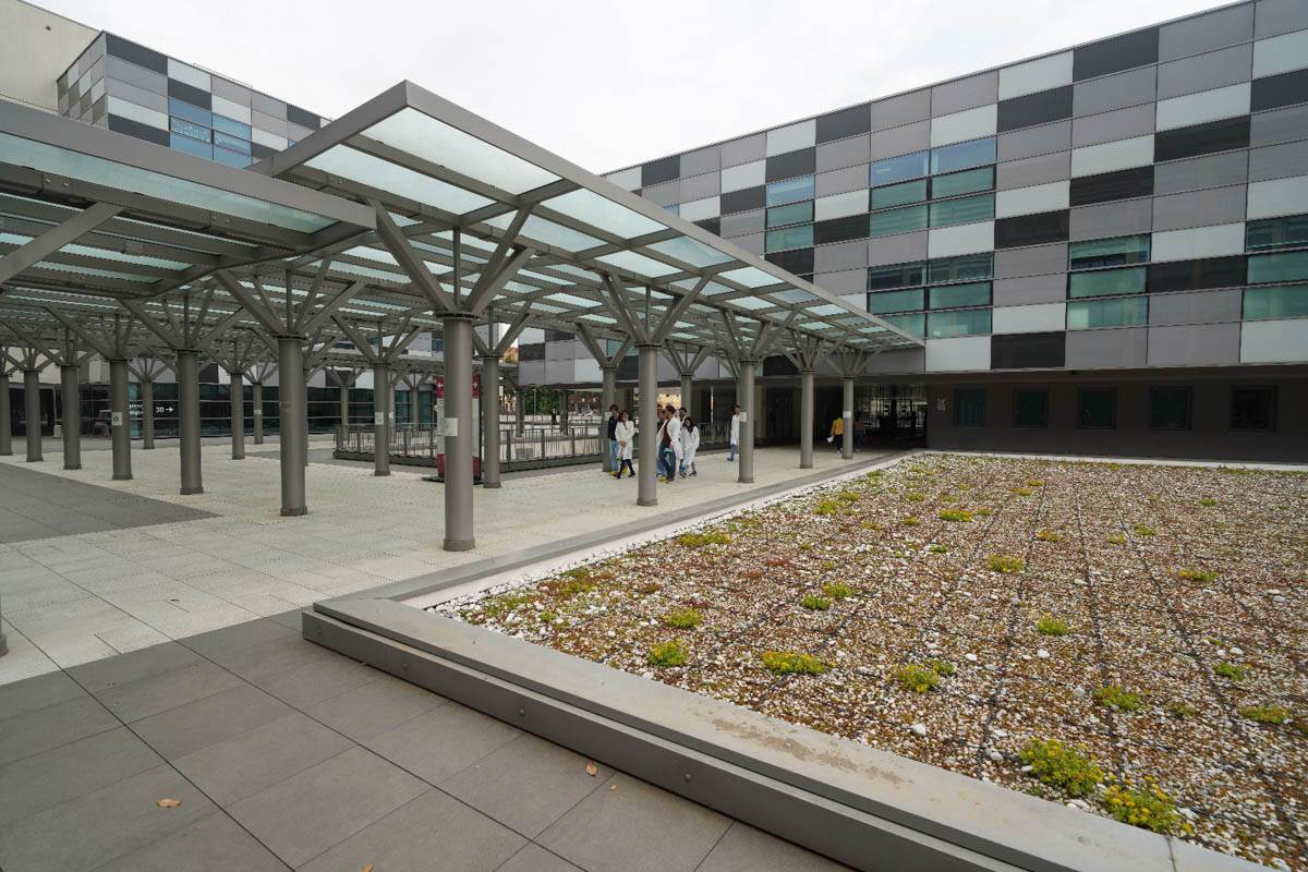 Ospedale della Donna e del Bambino - citrobacter a Borgo Trento aoui verona