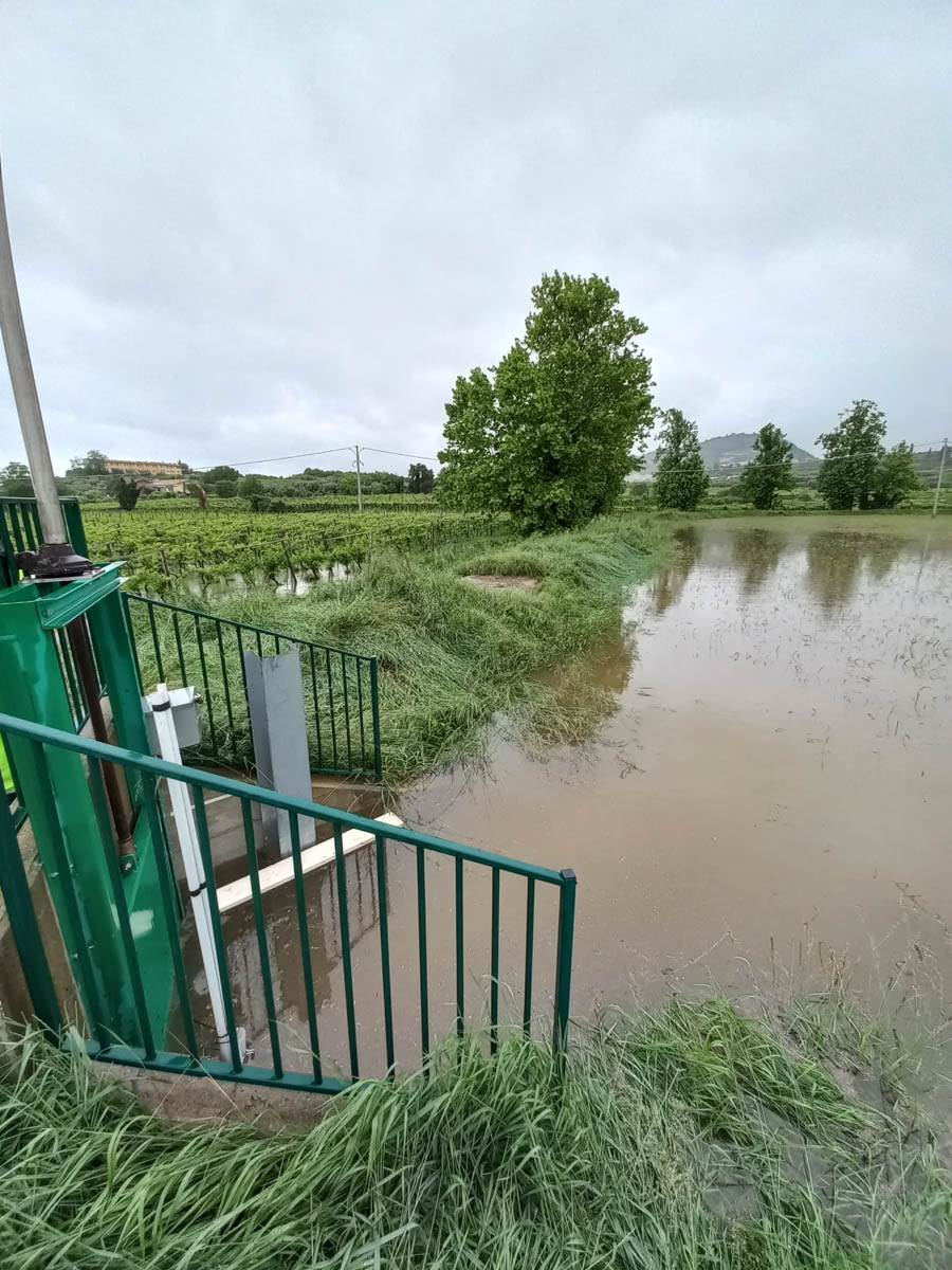 Vasca laminazione a Cavaion - Consorzio di Bonifica Veronese