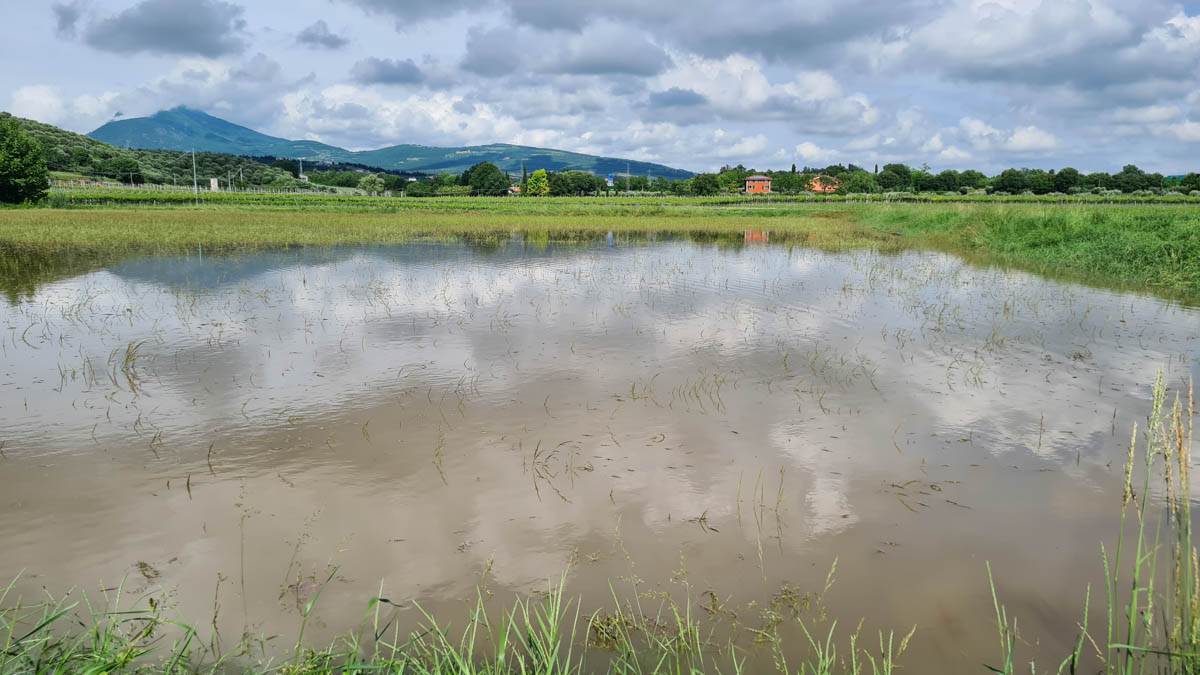 Vasca laminazione a Cavaion - Consorzio di Bonifica Veronese