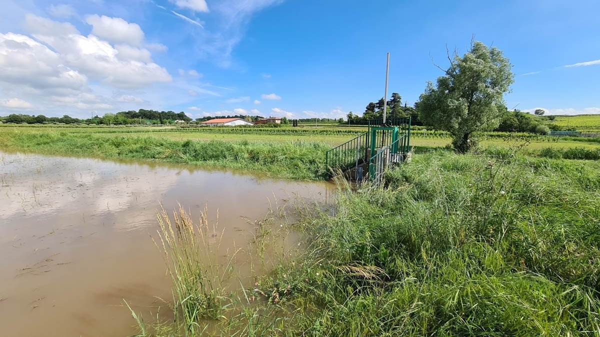 Vasca laminazione Cavaion - Consorzio di Bonifica Veronese