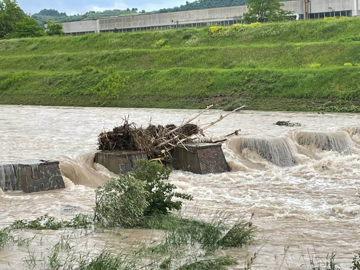Bacino di Trissino (provincia di Vicenza)