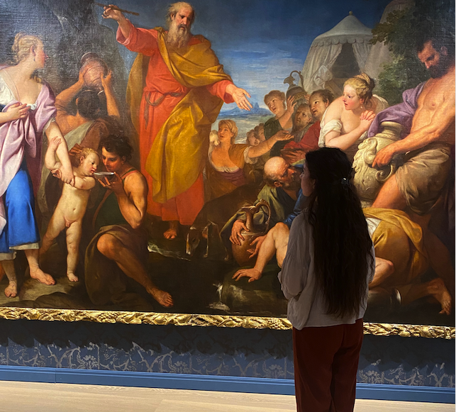 progetto minerva palazzo maffei