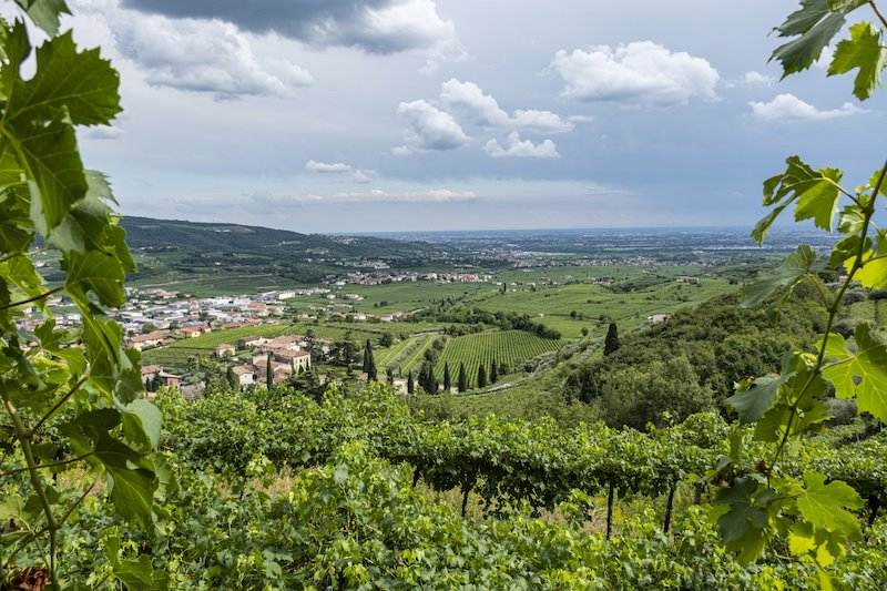 vallata negrar valpolicella colline valli vigneti