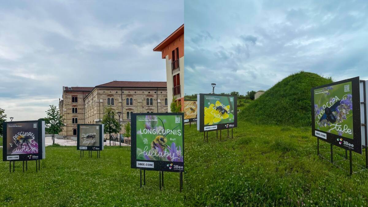 api voci dalle oasi 3bee