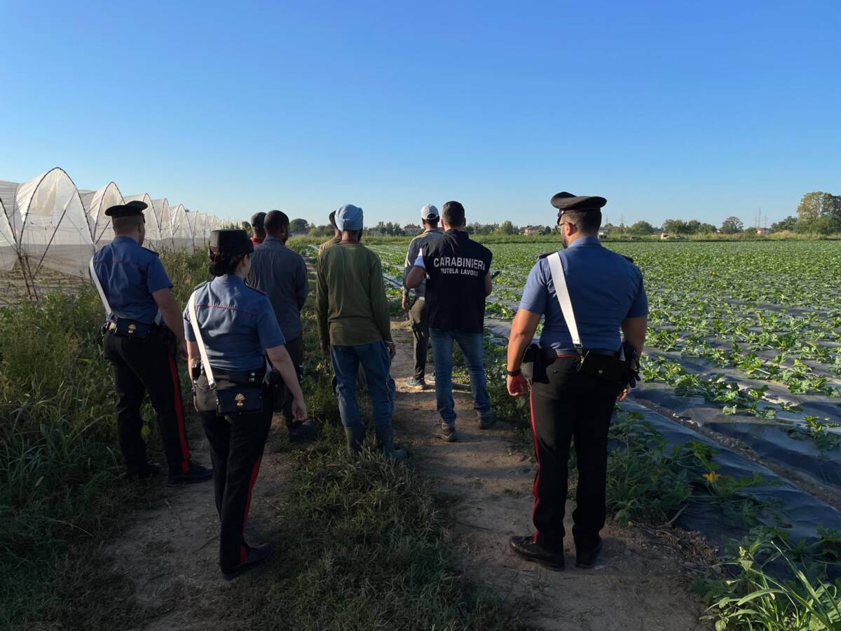 caporalato carabinieri verona