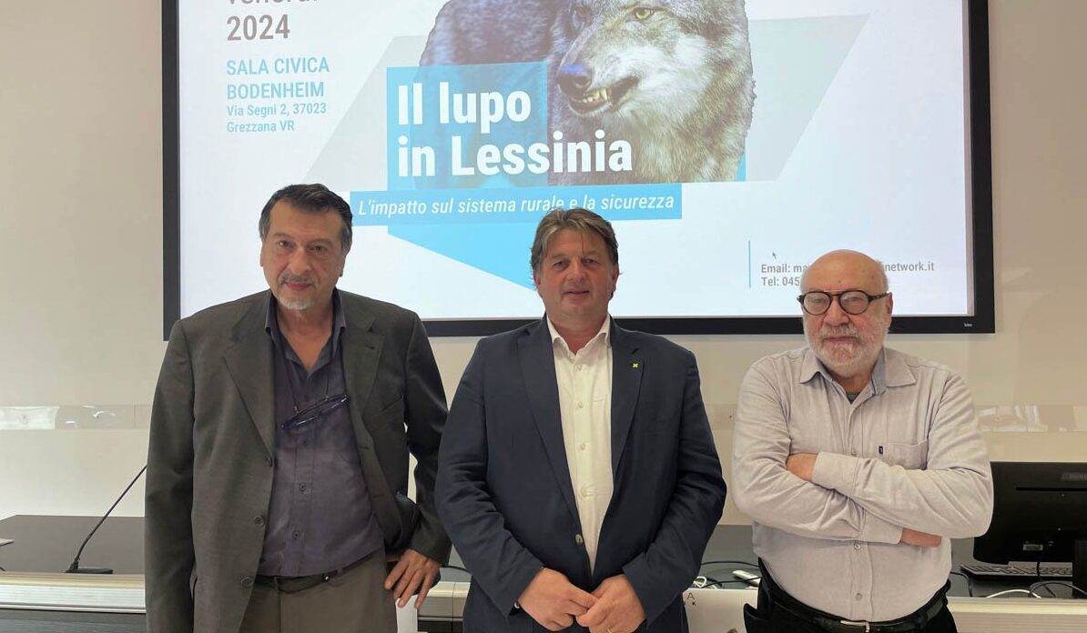 evento lupo in lessinia stefano valdegamberi