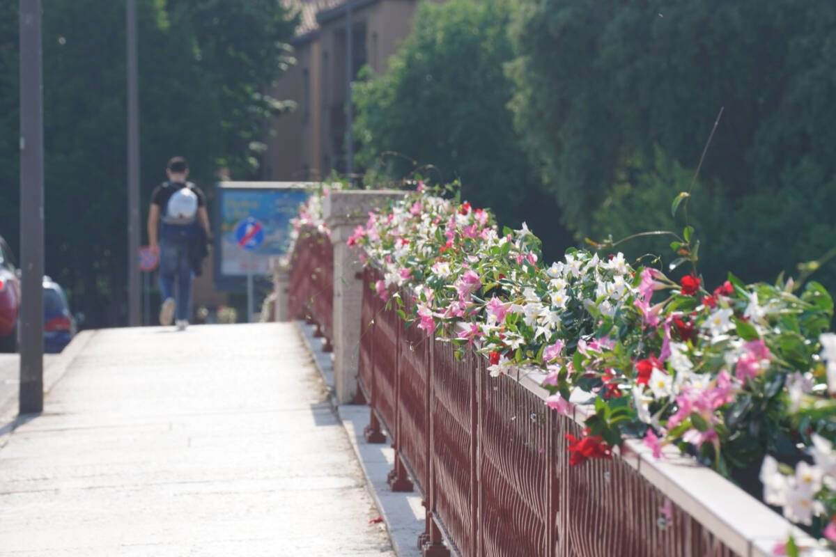 fioriere ponte catena